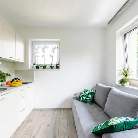 Apartment Homekoko *