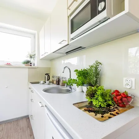 Homekoko * Катовице