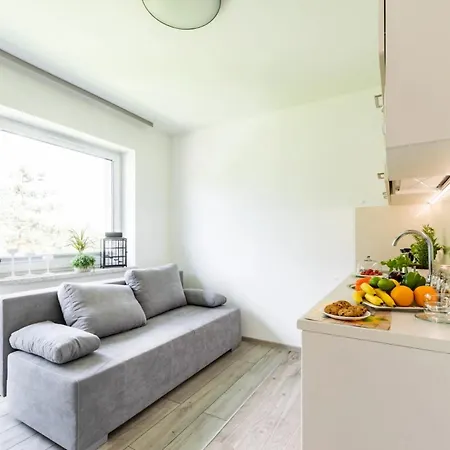 Apartament Homekoko Katowice