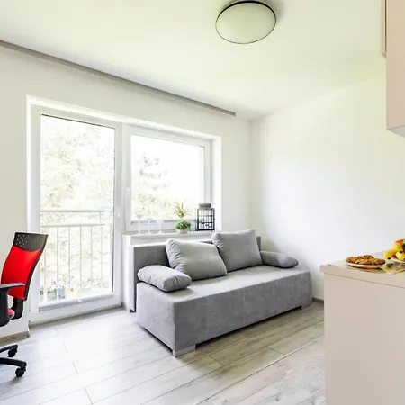 Homekoko * Катовице