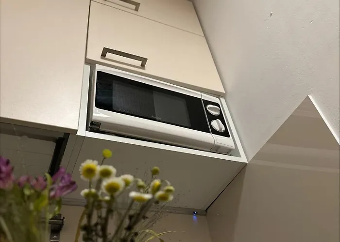 Homekoko * Kattowitz