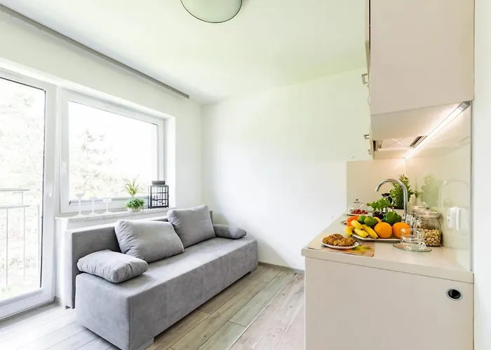 Apartmán Homekoko Katovice
